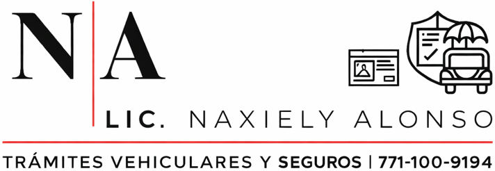 N|A Seguros & Trámites Vehiculares - Naxiely Alonso